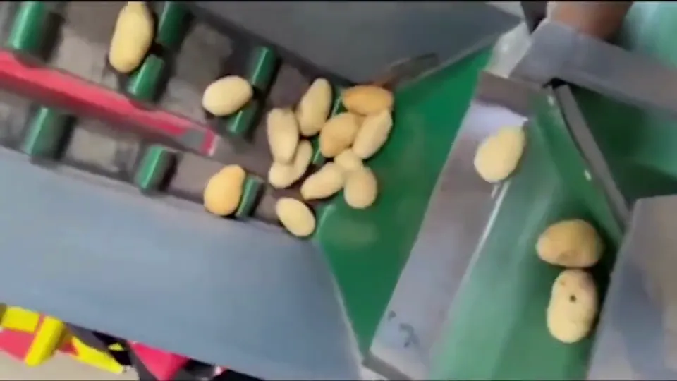 on the weigher belt